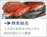 鮮魚販売 スズ市の目利きが仕入れた房州の取れたて鮮魚