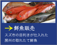 鮮魚販売 スズ市の目利きが仕入れた房州の取れたて鮮魚