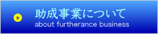 助成事業について